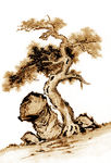国画古树