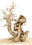 国画古树