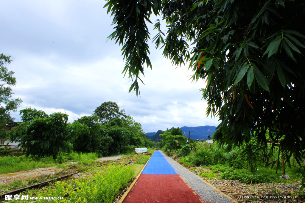 彩色道路