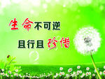 安全标语