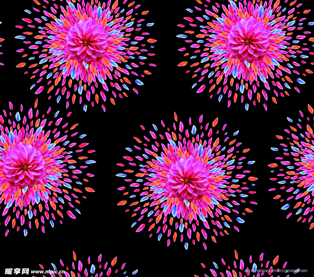 花瓣花朵黑色