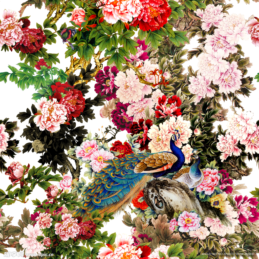 牡丹