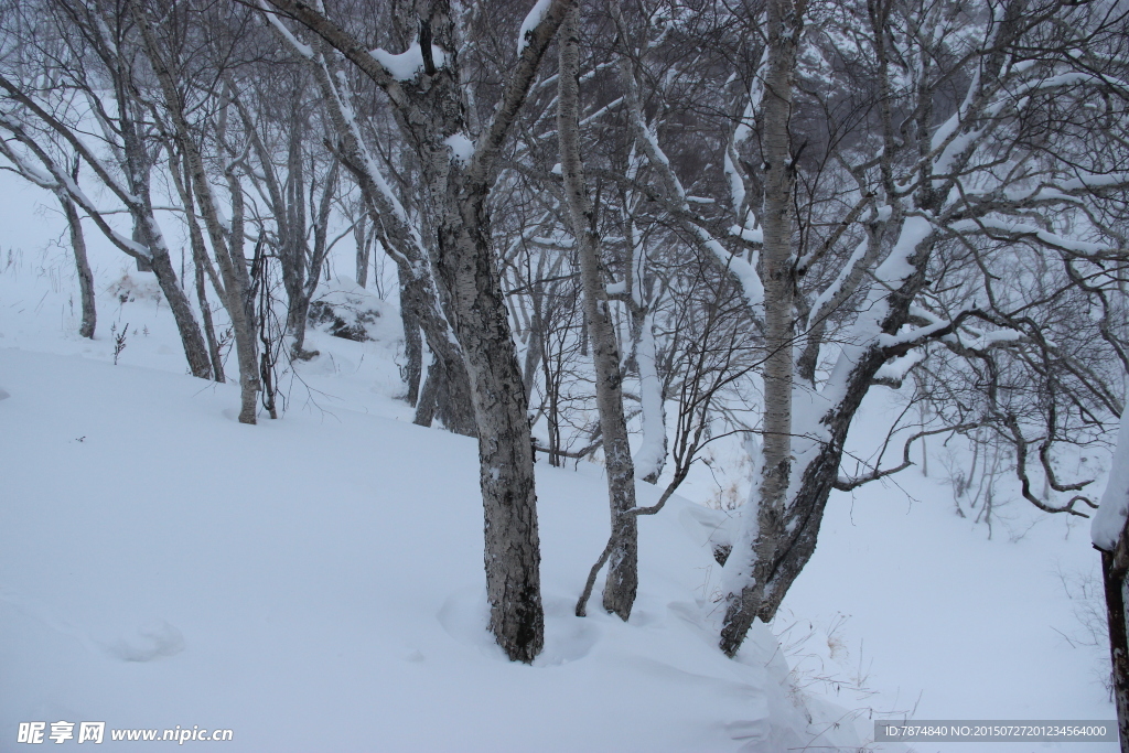 长白山雪景