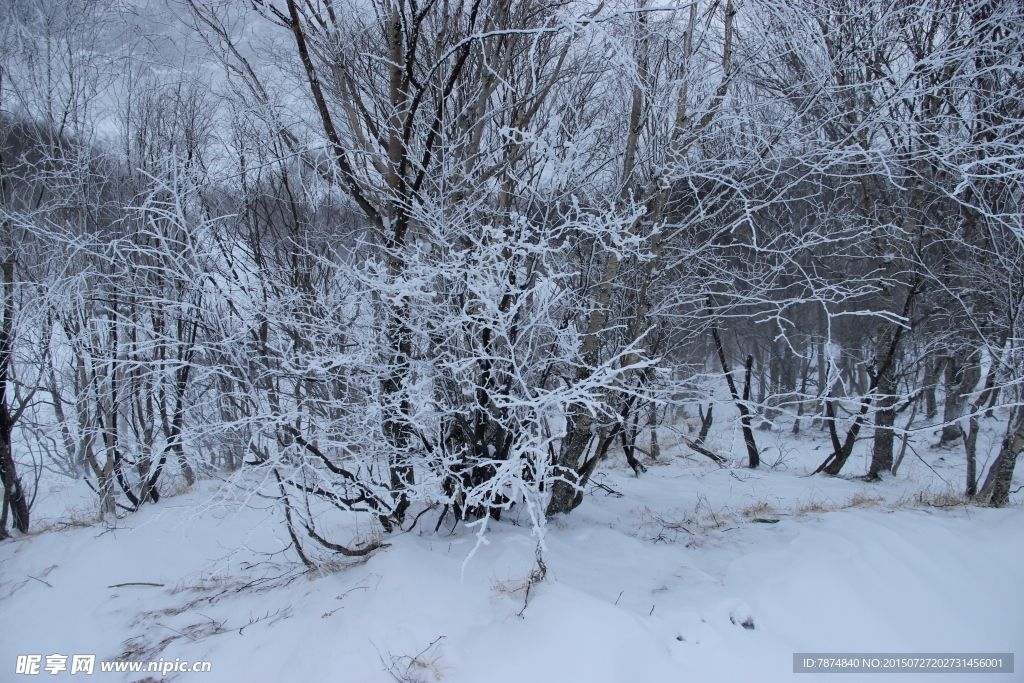 长白山雪景