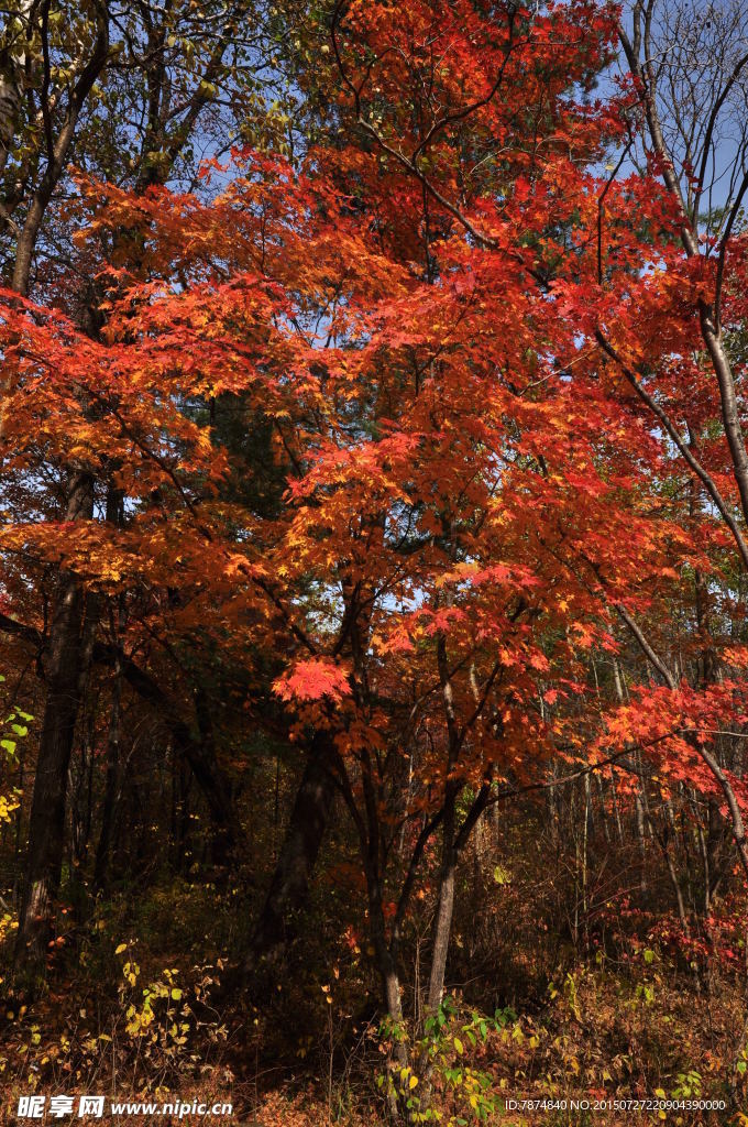 长白山风光