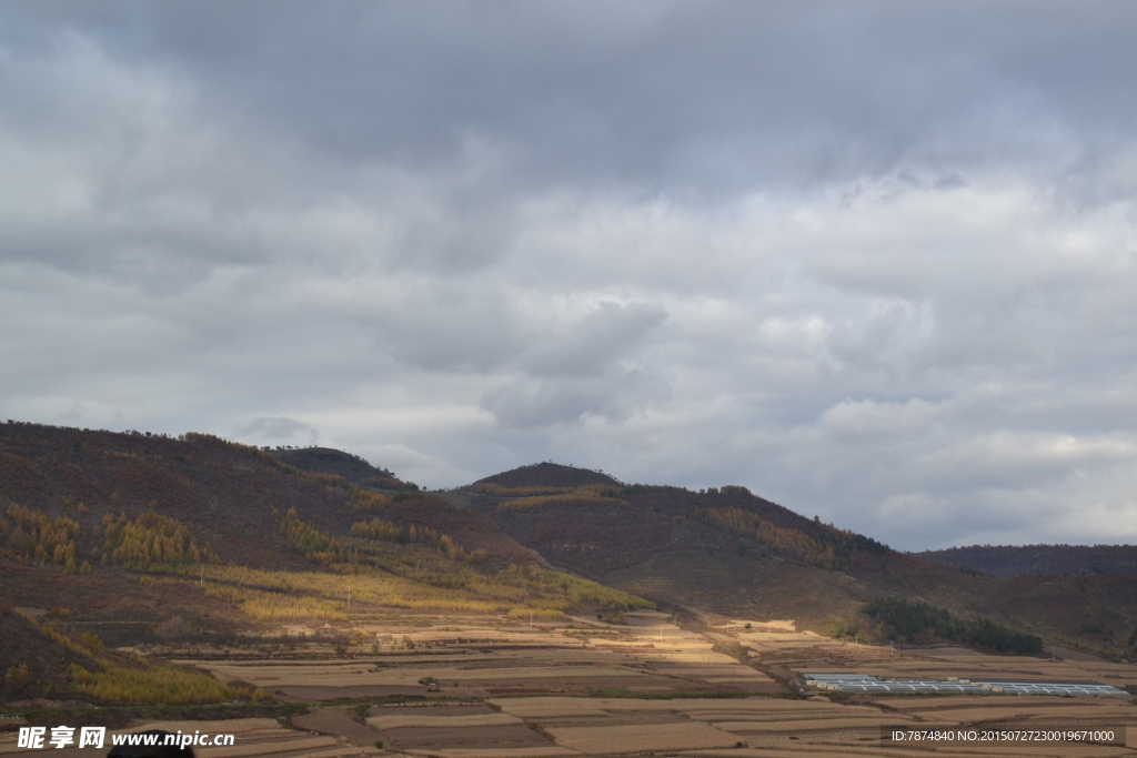 秋天的田野