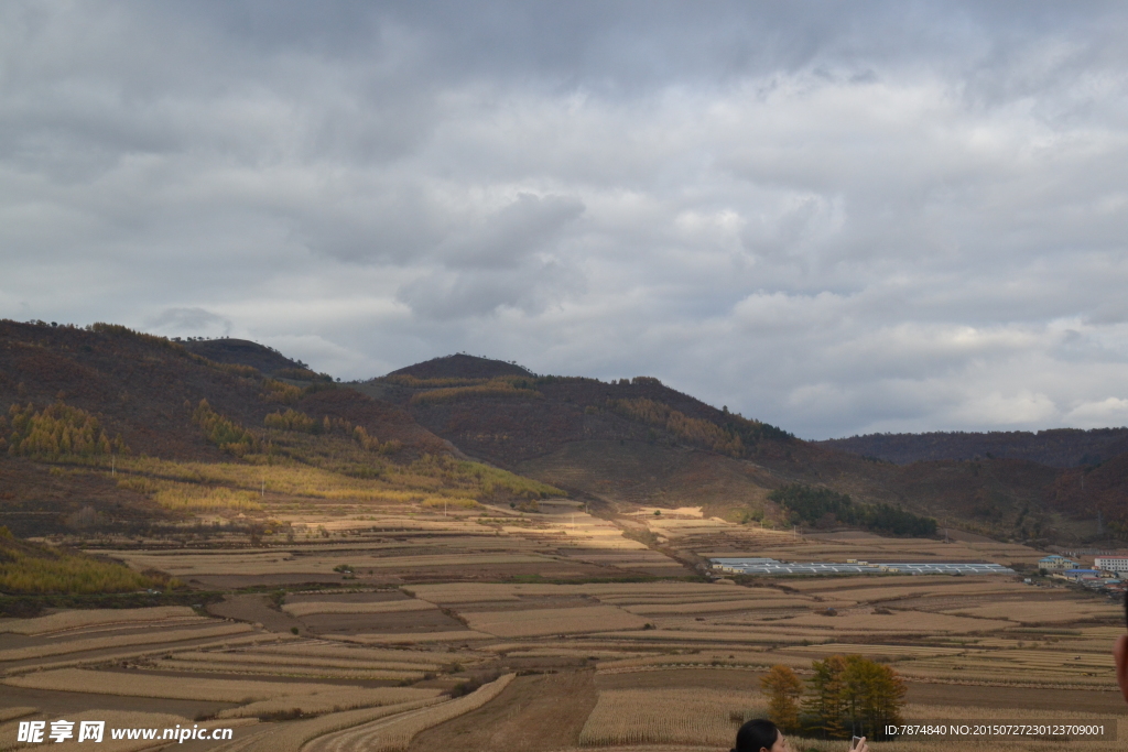 秋天的田野