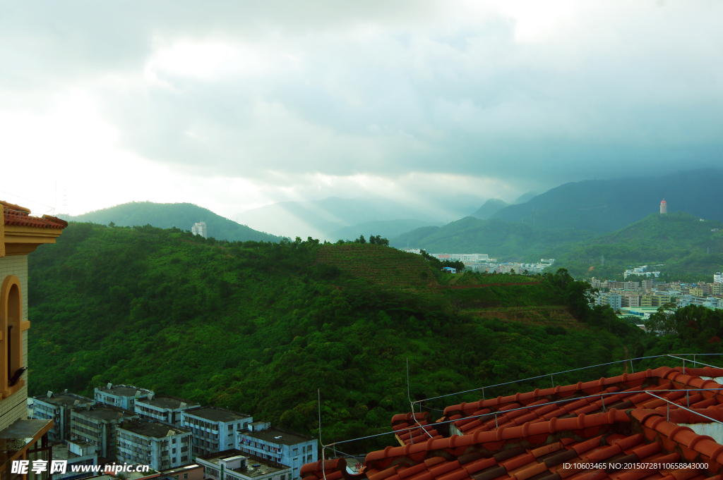 山峰酒店 云雾观音