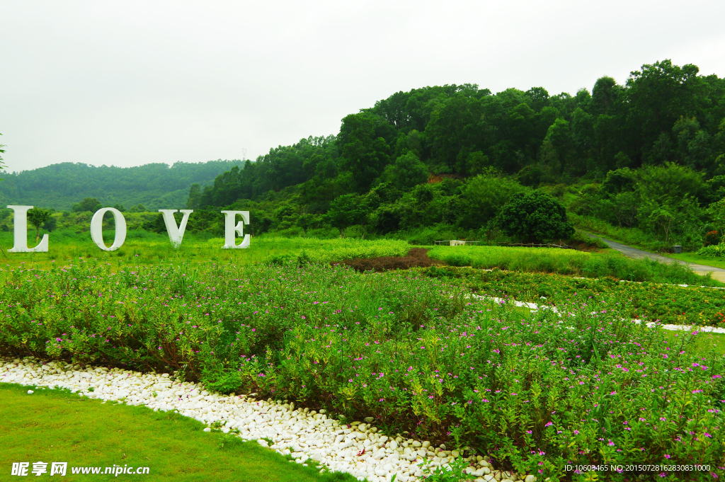 森林爱丽丝 LOVE