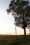 落日夕阳