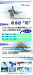 冲浪展架
