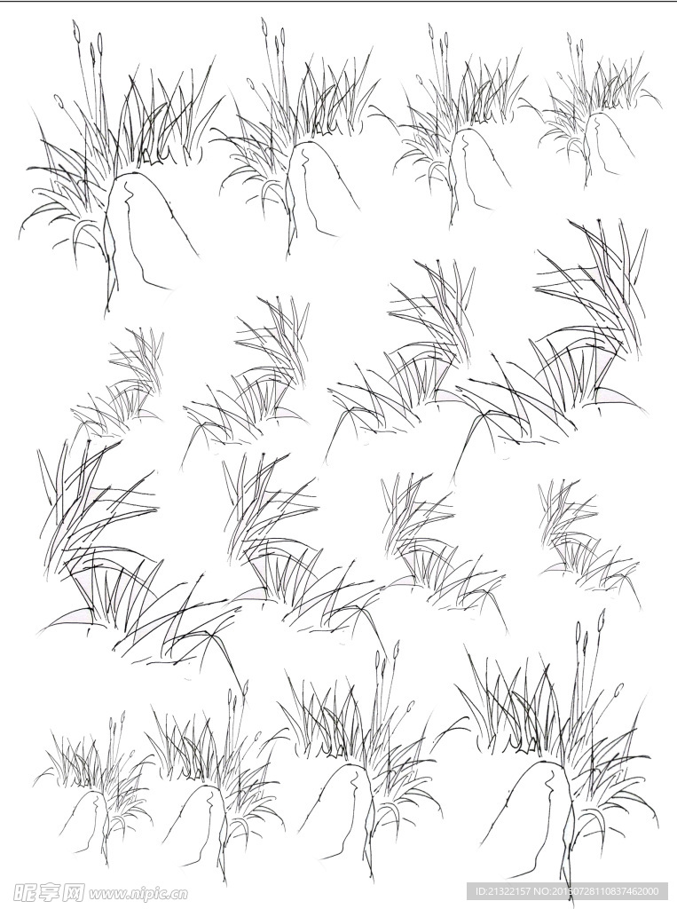 园林手绘植物线稿