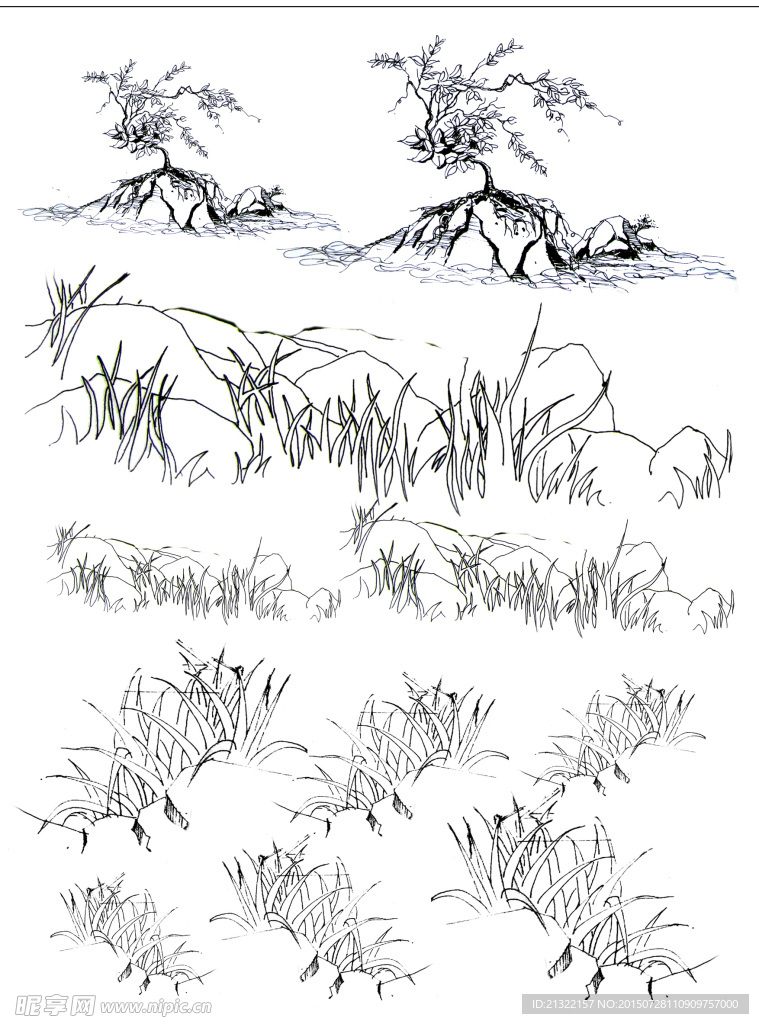 园林手绘植物线稿