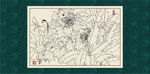 白描芙蓉