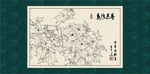 白描芙蓉