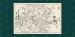 白描芙蓉