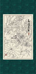 白描芙蓉