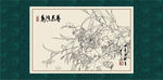 白描芙蓉