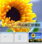 简约PPT