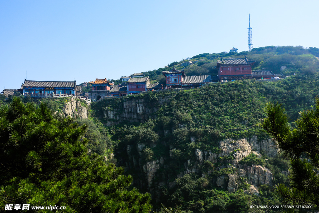 山东泰山