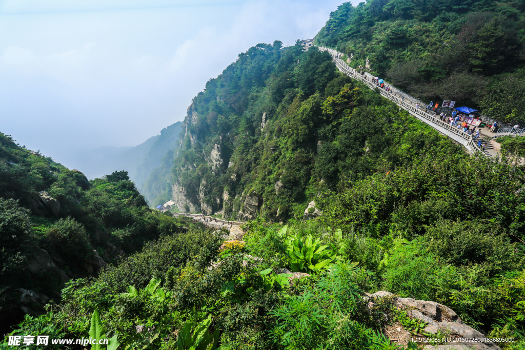 山东泰山