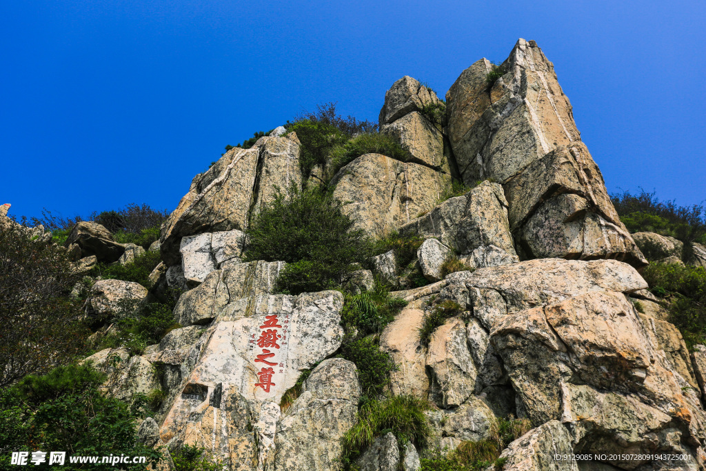 山东泰山