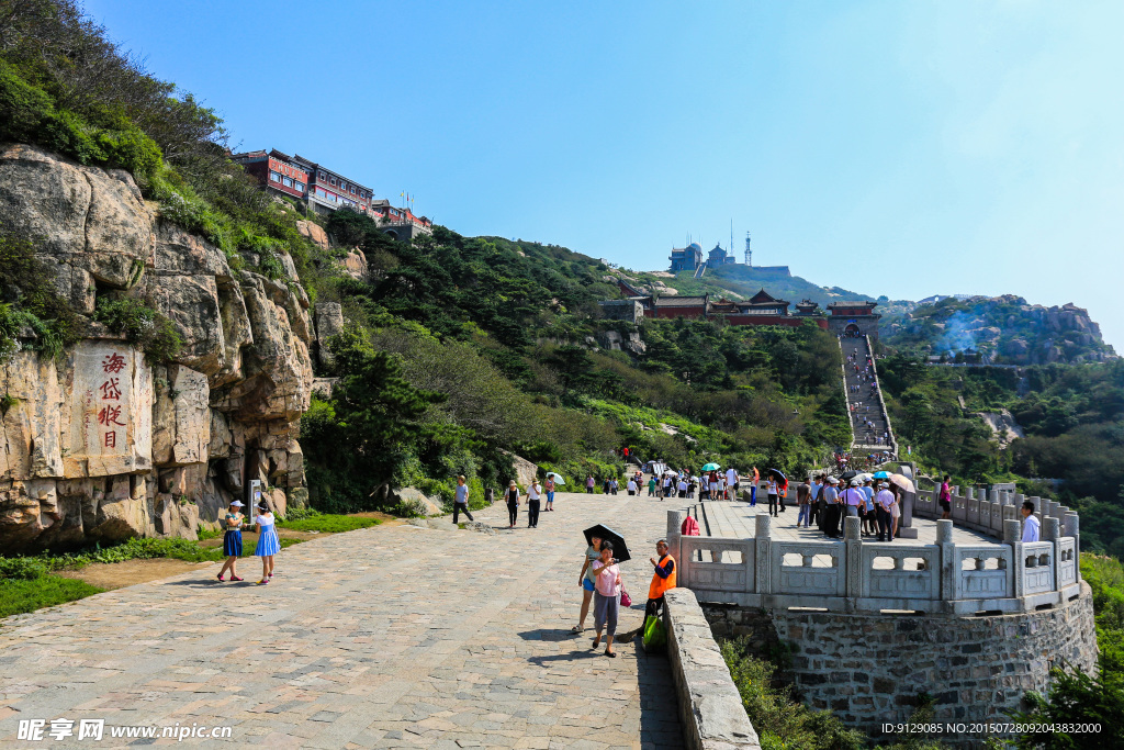 山东泰山