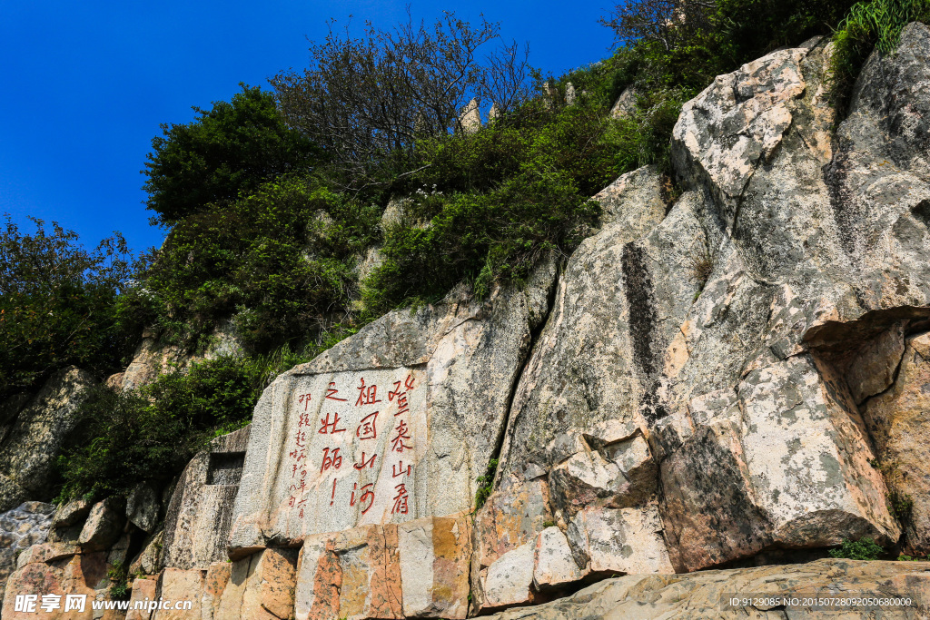 山东泰山