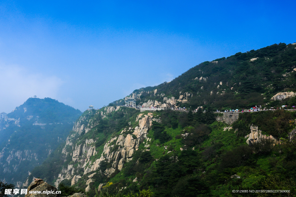 山东泰山