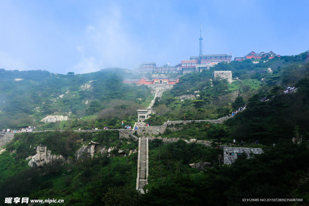 山东泰山