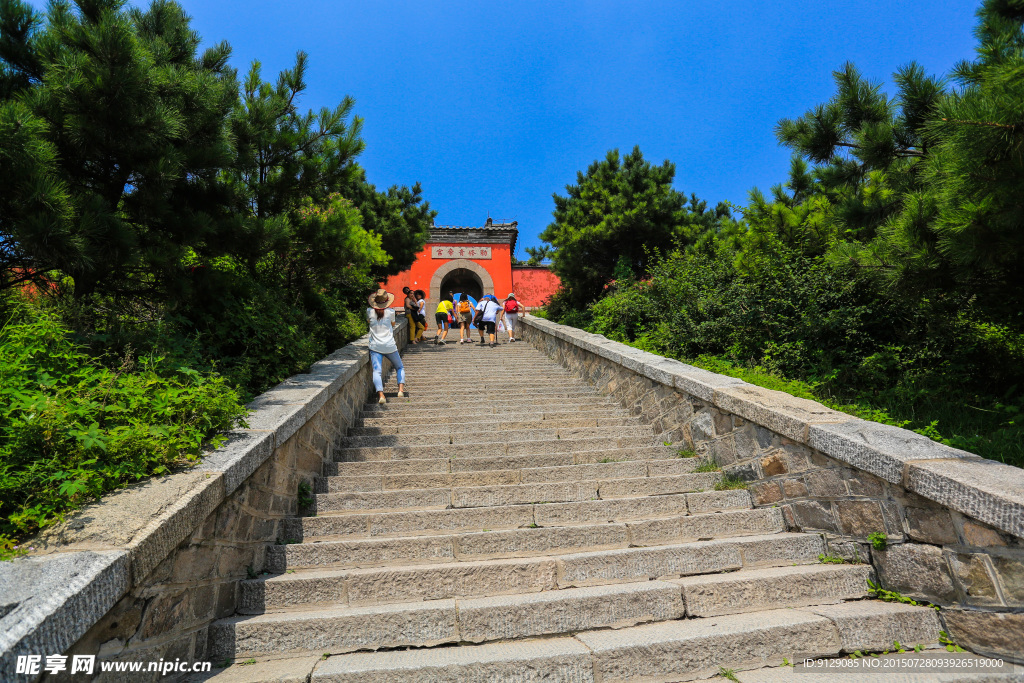 山东泰山