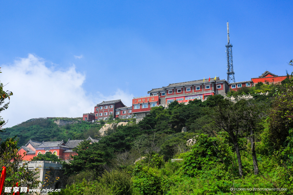 山东泰山