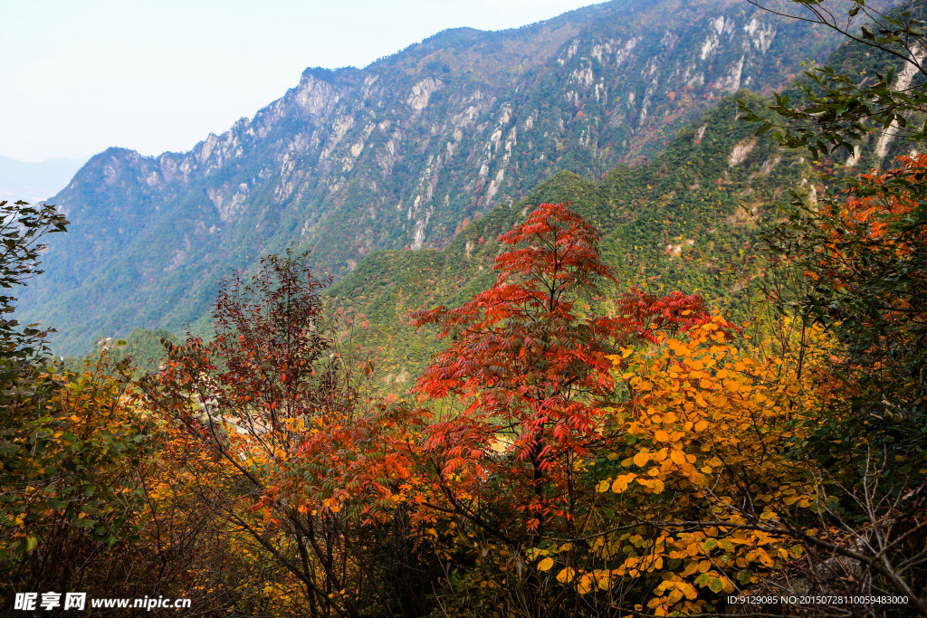 临安大明山