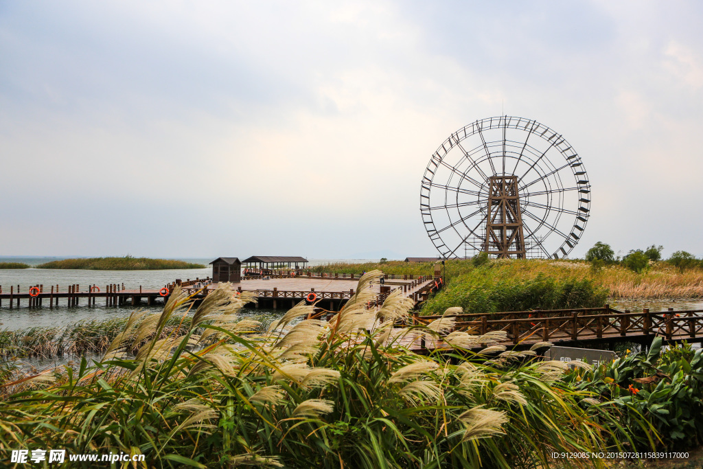 太湖湿地公园