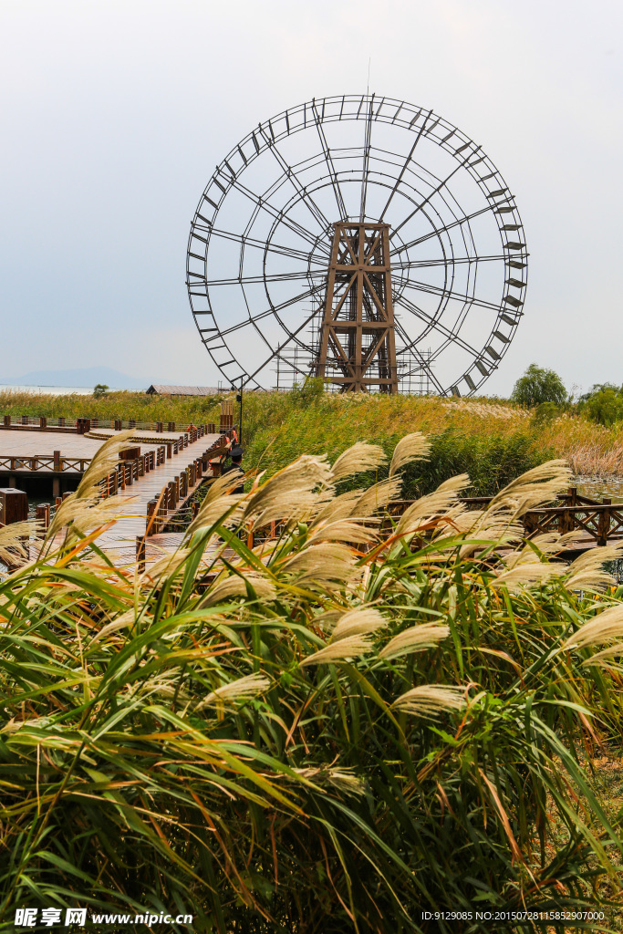 太湖湿地公园