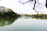榕湖景点