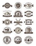 图标icon
