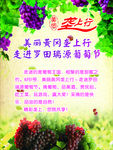 葡萄节