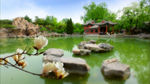 北京实拍