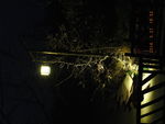 羌族夜晚