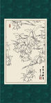 白描曼陀罗