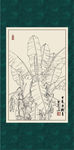 白描芭蕉