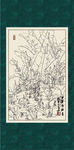 白描芭蕉