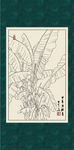 白描芭蕉