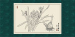 白描水仙