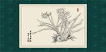 白描水仙