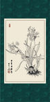 白描水仙