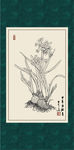 白描水仙