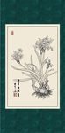 白描水仙