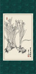 白描水仙